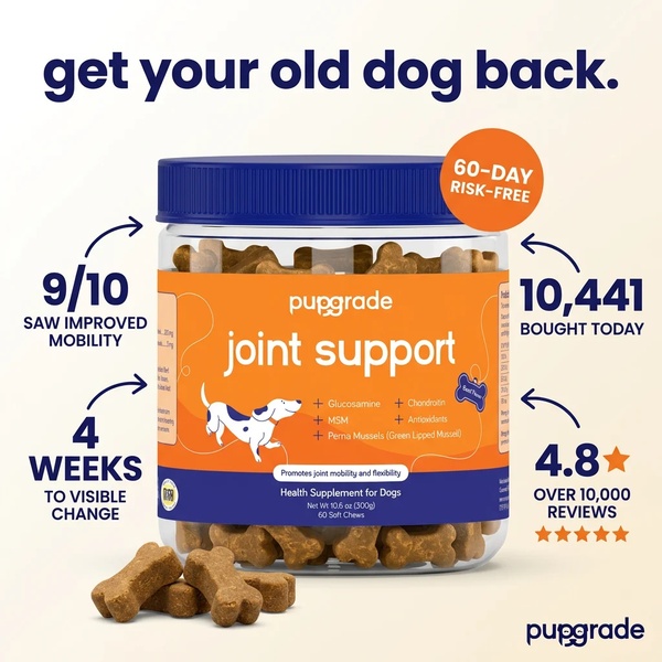 A high-conversion 1:1 image ad featuring a pet supplement jar surrounded by key performance stats and social proof metrics.